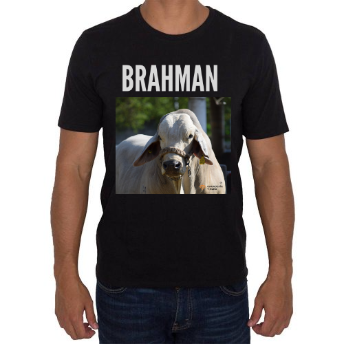 Fotografía del producto Brahman (57881)