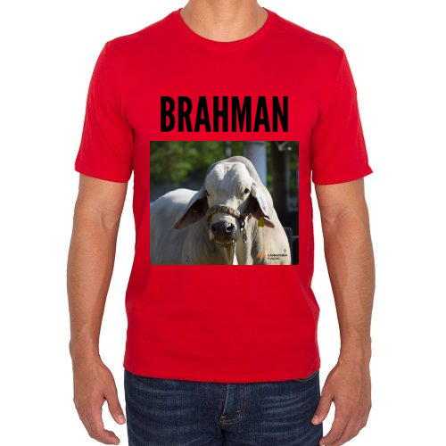 Fotografía del producto Brahman (57884)